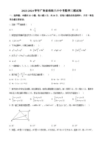 2024年广东省省珠海市第八中学中考三模数学试题（原卷版+解析版）