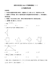 2024年河南省洛阳市洛龙区九年级第一次中考模拟考试数学试题（原卷版+解析版）