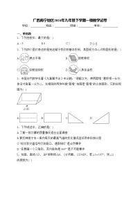 广西南宁地区2024年九年级下学期一模数学试卷(含答案)