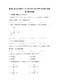 黑龙江省大庆市第六十九中学2023-2024学年七年级下学期期中数学试题（含解析）