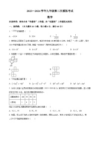 2024年安徽省芜湖市第二十九中学中考三模数学试题（原卷版+解析版）