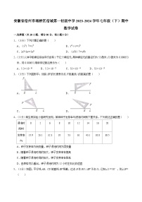 安徽省宿州市埇桥区第一初级中学2023-2024学年七年级下学期期中数学试卷