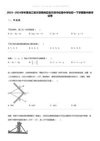 2023_2024学年黑龙江哈尔滨南岗区哈尔滨市松雷中学校初一下学期期中数学试卷