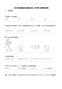 2024年安徽安庆大观区石化一中中考二模数学试卷