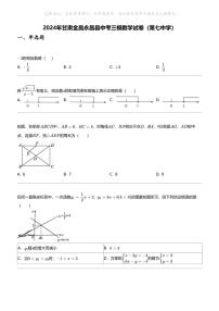 2024年甘肃金昌永昌县中考三模数学试卷（第七中学）