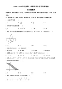 甘肃省陇南市康县2023-2024学年七年级下学期期中数学试题（原卷版+解析版）