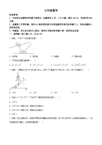 河南省平顶山市汝州市2023-2024学年七年级下学期期中数学试题（原卷版+解析版）