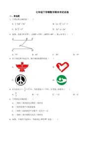 四川省达州市2024年七年级下学期数学期末考试试题(附参考答案）
