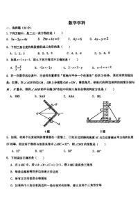 2024年哈尔滨市松雷中学七年级（下）期中数学试卷+答案