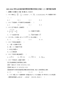 2023-2024学年山东省济南市莱芜区莲河学校七年级（上）期中数学试卷