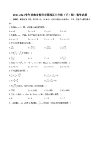 2023-2024学年湖南省衡阳市蒸湘区八年级（下）期中数学试卷（含解析）