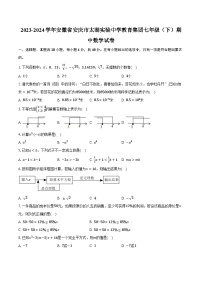 2023-2024学年安徽省安庆市太湖实验中学教育集团七年级（下）期中数学试卷（含解析）