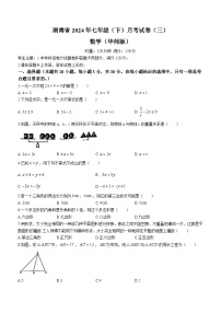 湖南省衡阳、益阳、娄底市2023-2024学年七年级下学期第三次月考联考数学试题（无答案）