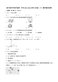 四川省泸州市泸县第一中学2023-2024学年七年级下学期期中数学试卷（含解析）