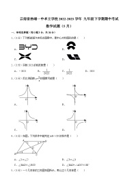 云南省曲靖一中卓立学校2022-2023学年九年级下学期期中考试数学试题（5月）（含解析）