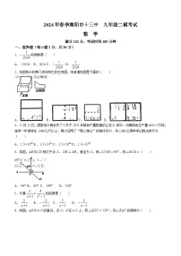 2024年河南省南阳市卧龙区南阳市第十三中学校中考二模数学试题(含答案)