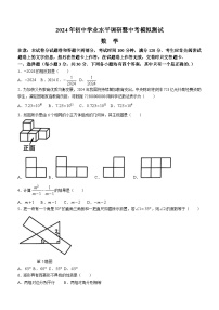 2024年河南省鹤壁市九年级中考一模数学试题（含答案）