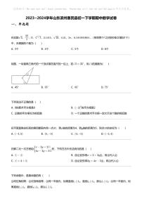 2023_2024学年山东滨州惠民县初一下学期期中数学试卷