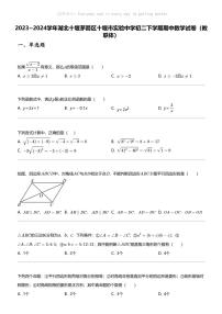 2023_2024学年湖北十堰茅箭区十堰市实验中学初二下学期期中数学试卷（教联体）