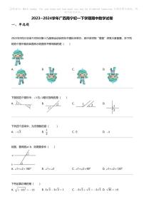 2023_2024学年广西南宁初一下学期期中数学试卷