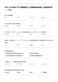 2023_2024学年广东广州黄埔区初二下学期期中数学试卷（华实初级中学）