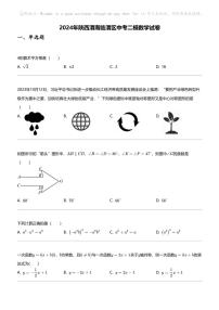 2024年陕西渭南临渭区中考二模数学试卷