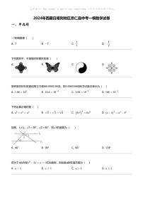 2024年西藏日喀则地区昂仁县中考一模数学试卷