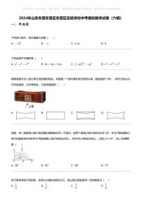 2024年山东东营东营区东营区实验学校中考模拟数学试卷（六模）