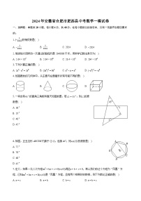 2024年安徽省合肥市肥西县中考数学一模试卷（含详细答案解析）