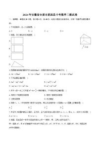 2024年安徽省合肥市肥西县中考数学二模试卷（含详细答案解析）