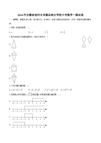 2024年安徽省宿州市灵璧县部分学校中考数学一模试卷（含详细答案解析）