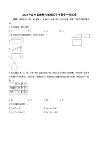 2024年山东省德州市德城区中考数学一模试卷（含详细答案解析）