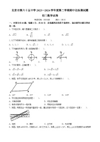 北京市第六十五中学2023-2024学年八年级下学期期中数学试题(无答案)