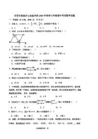 广东省东莞市南城开心实验学校2023-2024学年七年级下学期期中数学试题