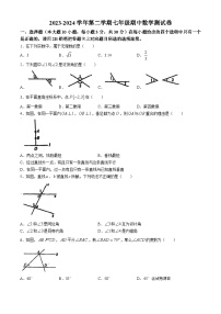 广东省惠州市惠城区德威学校2023-2024学年七年级下学期期中数学试题(无答案)