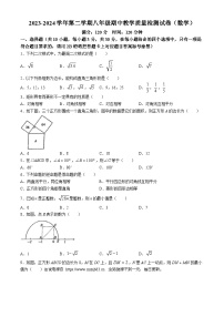 广东省珠海市第九中学2023-2024学年八年级下学期期中数学试题