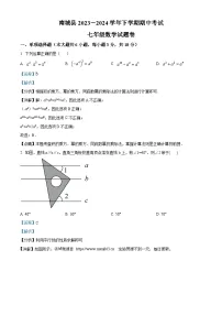 江西省抚州市南城县2023-2024学年七年级下学期期中数学试题