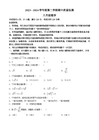 29，广东省阳江市江城区2023-2024学年八年级下学期期中数学试题