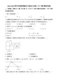 甘肃省武威市天祝藏族自治县2023-2024学年九年级下学期期中数学试题