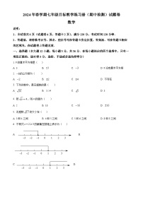 广西壮族自治区梧州市苍梧县2023-2024学年七年级下学期期中数学试题