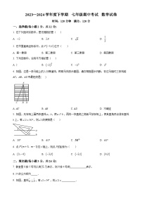 吉林省白城市大安市2023-2024学年七年级下学期期中数学试题