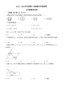 江苏省盐城市大丰区2023-2024学年七年级下学期期中数学试题