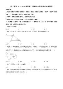 内蒙古自治区呼和浩特市赛罕区内蒙古师范大学附属学校2023-2024学年七年级下学期期中数学试题