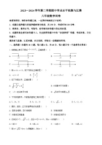 山东省聊城市阳谷县2023-2024学年八年级下学期期中数学试题