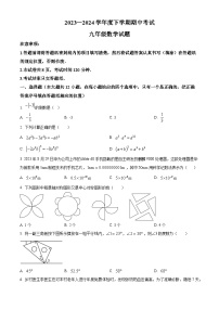 山东省泰安市肥城市2023-2024学年九年级下学期期中数学试题