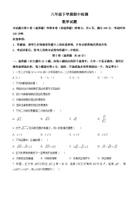 山东省泰安市新泰市2023-2024学年八年级下学期期中数学试题