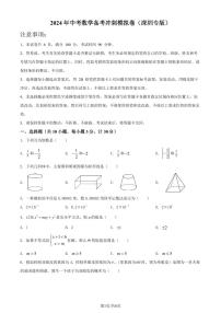 2024年广东深圳市中考冲刺备考模拟数学试卷+答案