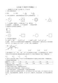 2024年湖北省武汉二中广雅中学九年级中考数学模拟试题（一）