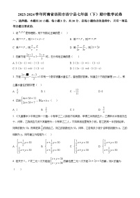 河南省洛阳市洛宁县2023-2024学年七年级下学期期中数学试题（原卷版+解析版）