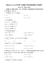 河南省洛阳市汝阳县2023-2024学年七年级下学期期中数学试题（原卷版+解析版）